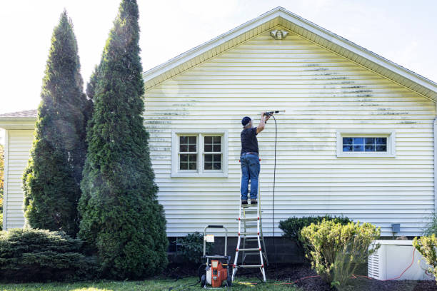 Best Local Pressure Washing Services  in Meadow Vale, KY